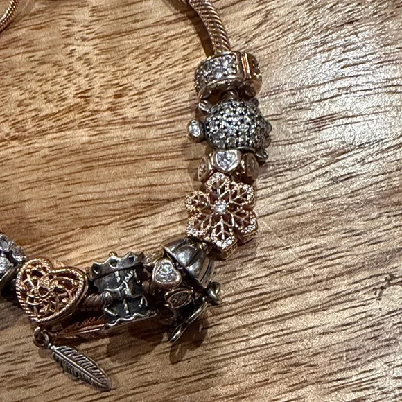 Pandora authentic bracelet & charms boho whimsical set - Picture 3 of 8